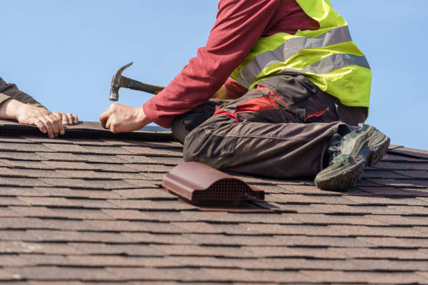 Best Metal Roofing Contractor  in Brevard, NC