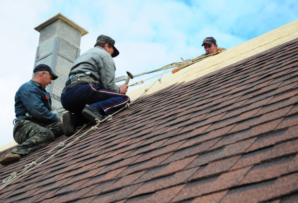 Quick and Trustworthy Emergency Roof Repair Services in Brevard, NC