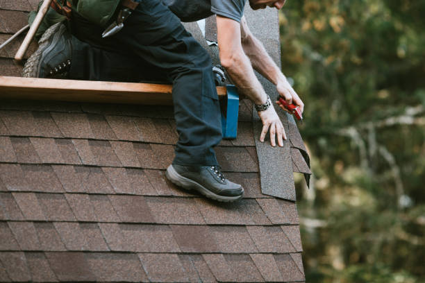 Best Roof Gutter Cleaning  in Brevard, NC